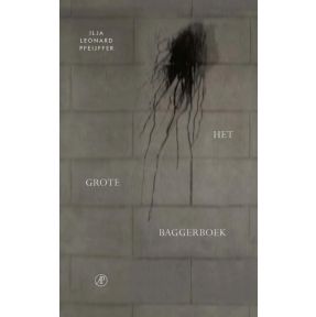 Het grote baggerboek